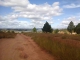 beaux terrains pieds dans l'eau - Ivato Lac