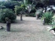 Mr. image 2