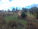 A VENDRE URGENT TERRAIN 884m2 AMBOHIMANGAKELY image 0