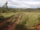 A VENDRE URGENT TERRAIN 884m2 et 3ha AMBOHIMANGAKELY image 2