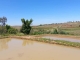 URGENT A VENDRE TERRAIN A ANKAZOBE image 0