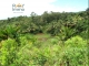 Grand TERRAIN Agricole Et Constructible Tanandava Toamasina image 1